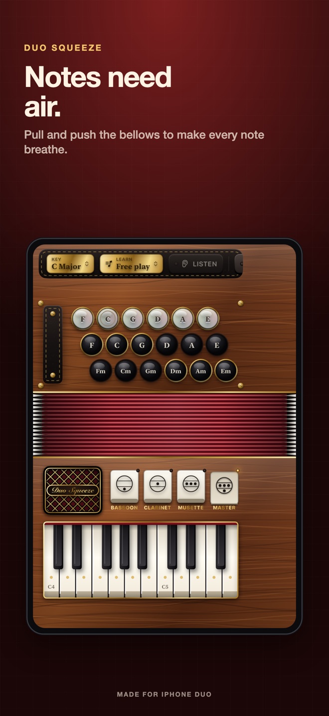 Duo Squeeze: Accordion screenshot 3